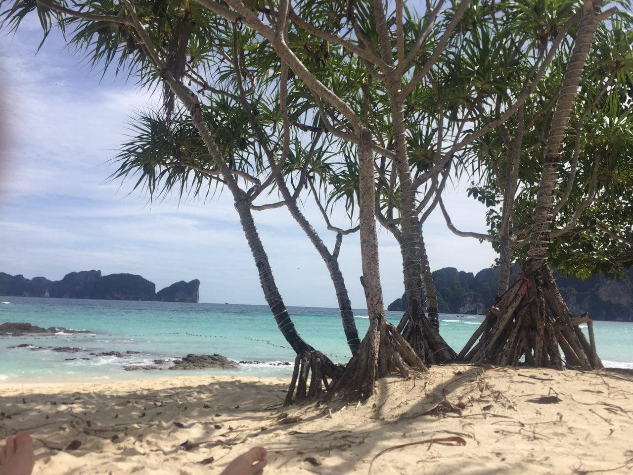 Phi Phi Rejseblog Guide til hotel Phi Phi Islands generelt