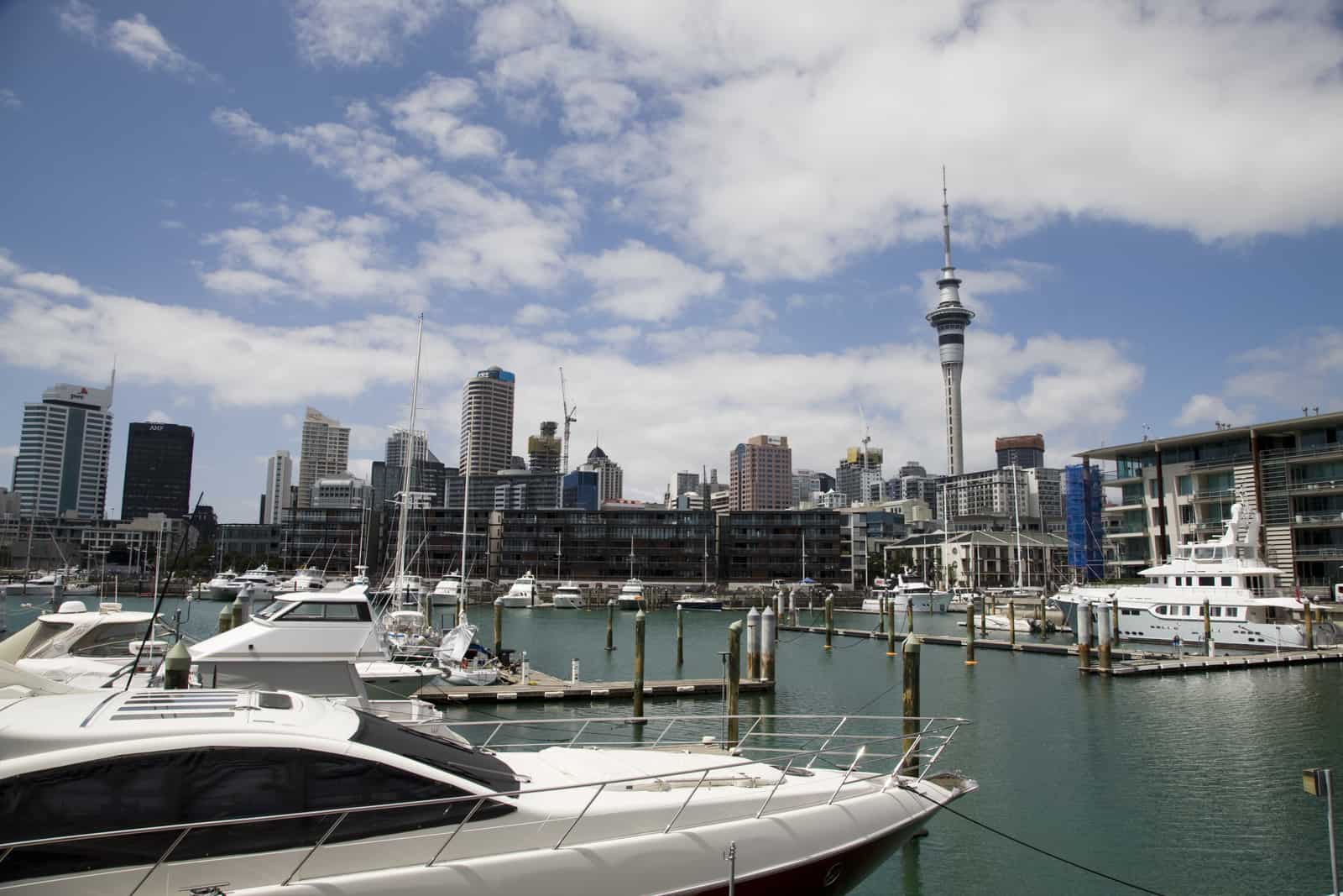 auckland guide
