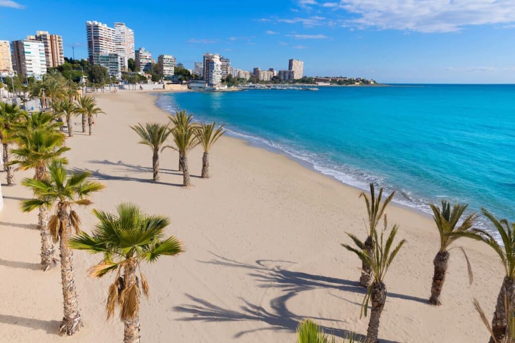 hvor skal man bo i alicante