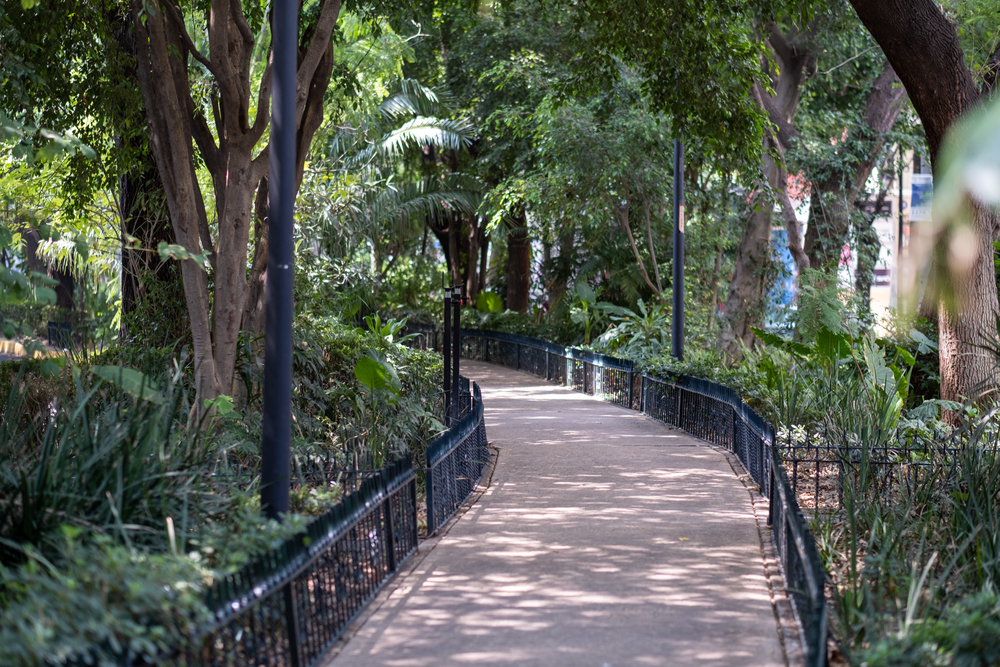 Den grønne midterrabat på Avenida Ámsterdam i Condesa i Mexico City