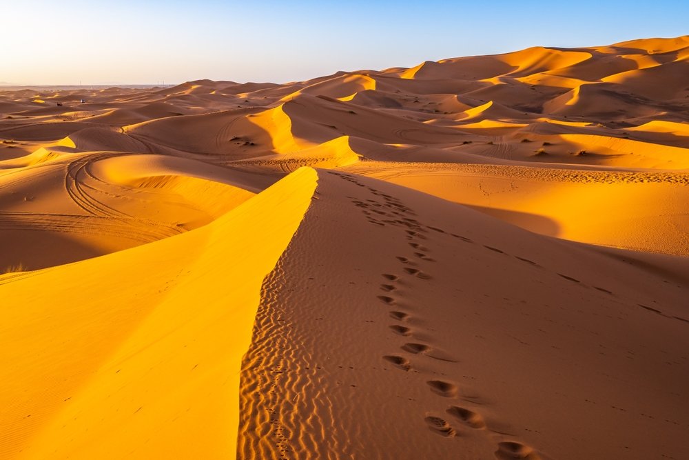 Klitterne Erg Chebbi ved solnedgang nær Merzouga i Saharaen