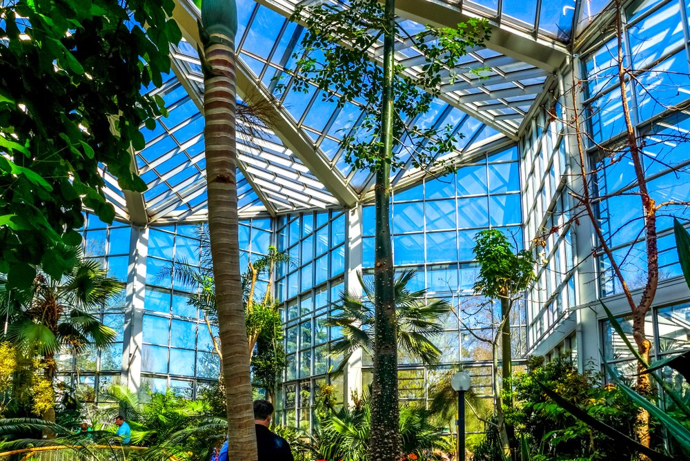 Den botaniske have Palmengarten i Frankfurt