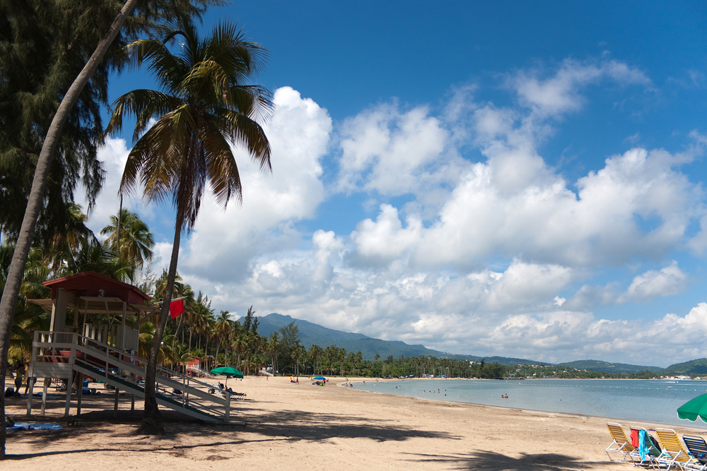 Palmer langs stranden i Luquillo på Puerto Rico