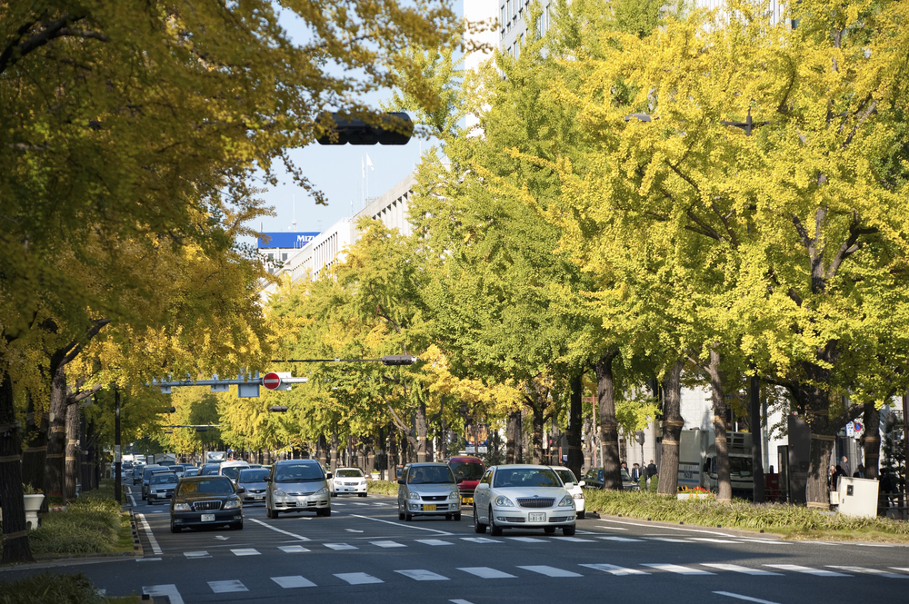 Boulevarden Midosuji i Osaka om efteråret