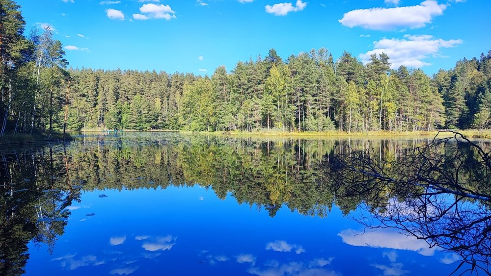 Sø og skov i Nuuksio nationalpark ved Helsinki