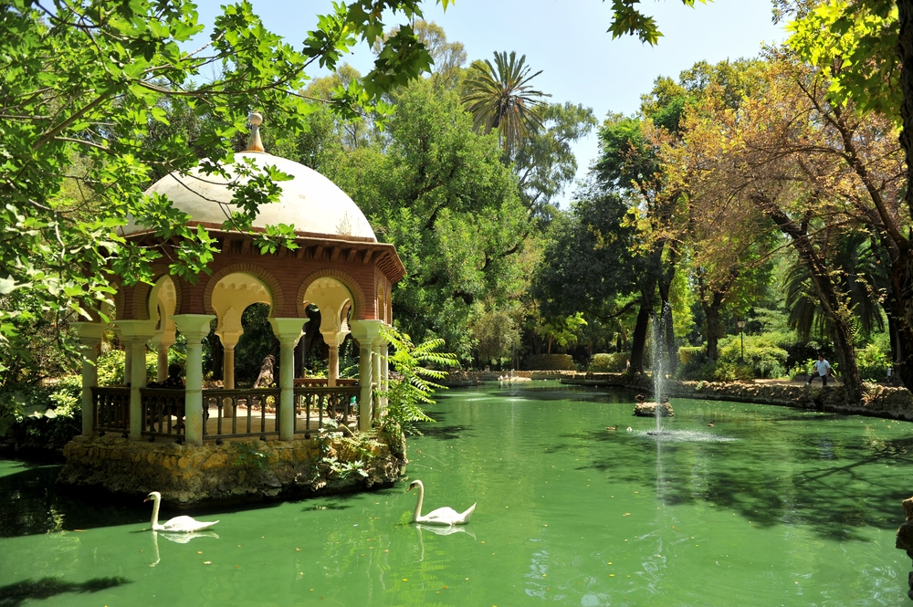 Svaner i andedammen ved pavillonen i Parque de María Luisa i Sevilla
