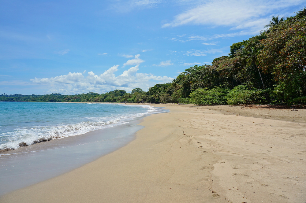 Stranden Playa Cocles ved Puerto Viejo på Costa Ricas caribiske kyst