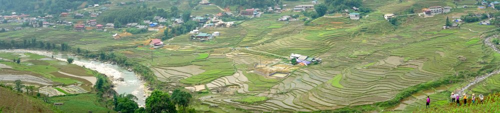 Risterrasser i Muong Hoa-dalen ved Sapa i det nordlige Vietnam