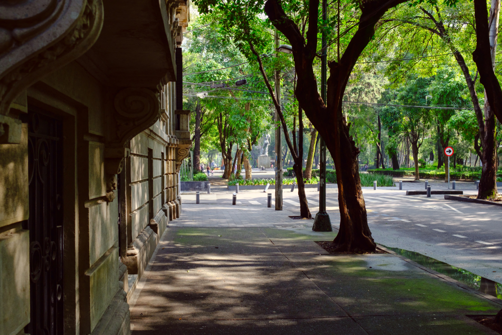 Gade i kvarteret Roma Norte i Mexico City