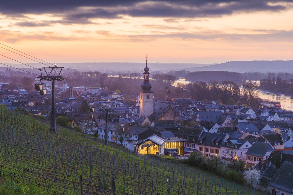 Vinbyen Rüdesheim am Rhein med vinmarkerne over Rhinen
