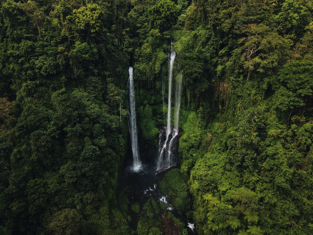 Sekumpul-vandfaldene i junglen i Nordbali