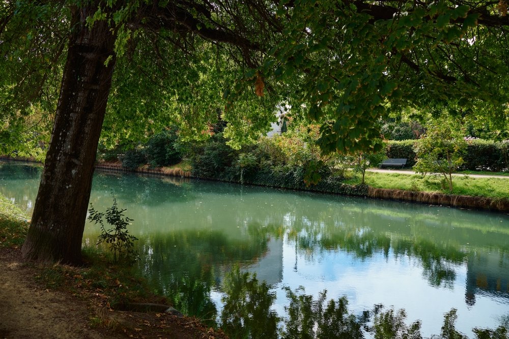 Canal du Midi med platantræer, der spejler sig i vandet i Toulouse