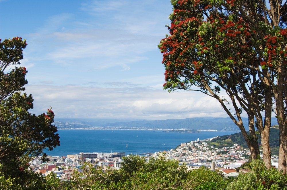 Wellingtons centrum og havnen set over Oriental Bay