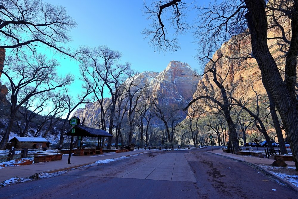 Røde klippevægge i Zion National Park ved Springdale i Utah